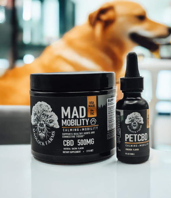 Pets Bundle - Image 6