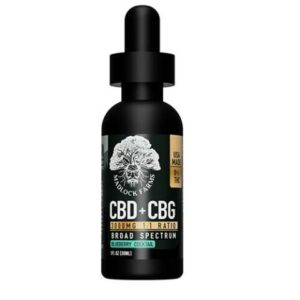 CBD + CBG 3000mg Blueberry Cocktail